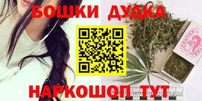 индика Кизилюрт