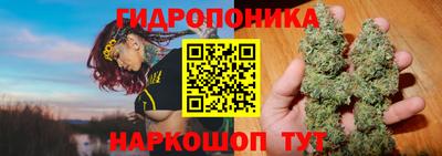 индика Кизилюрт