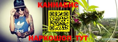 индика Кизилюрт