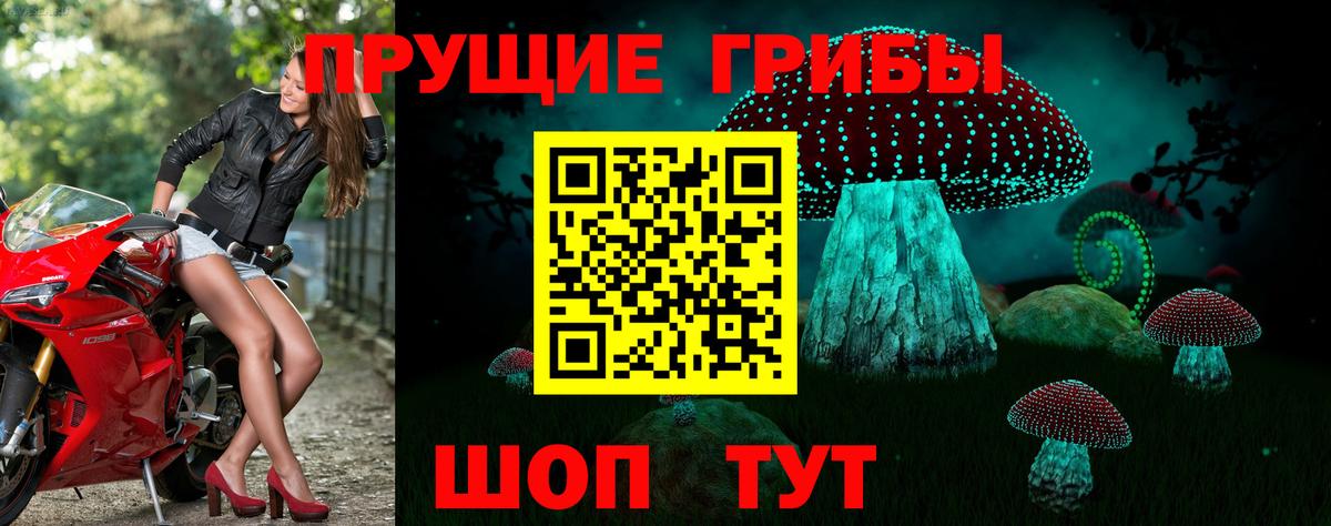 Псилоцибиновые грибы мицелий  Вход с VPN  Псилоцибиновые грибы ЛСД  где продают   Вышний Волочёк 